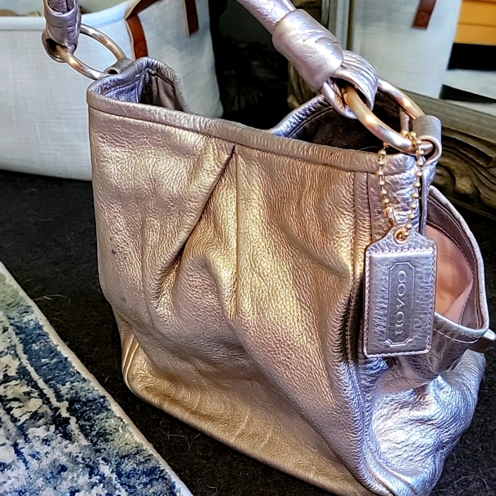 Pebble Leather Metallic Coach purse